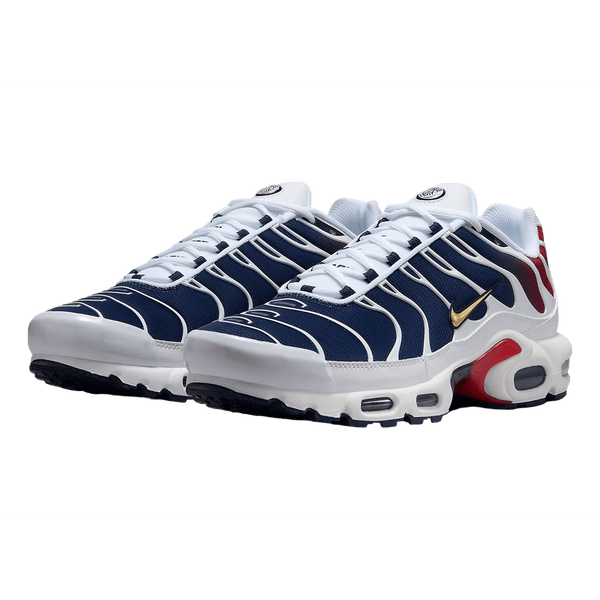 PSG Nike Tn Air Max Plus