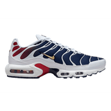 PSG Nike Tn Air Max Plus