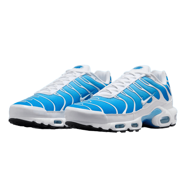 Nike Tn Air Max Plus "Blue Gaze"